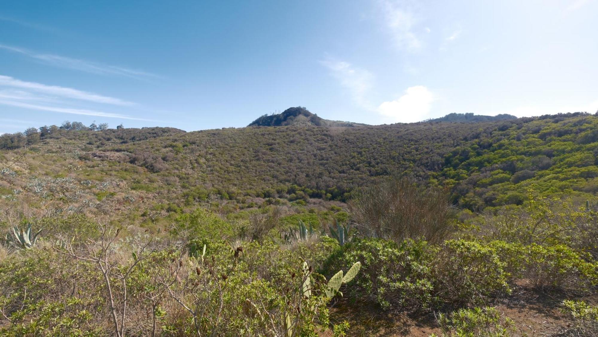 Vuelve Al Origen - Nomadas Digitales Tegueste Exterior photo