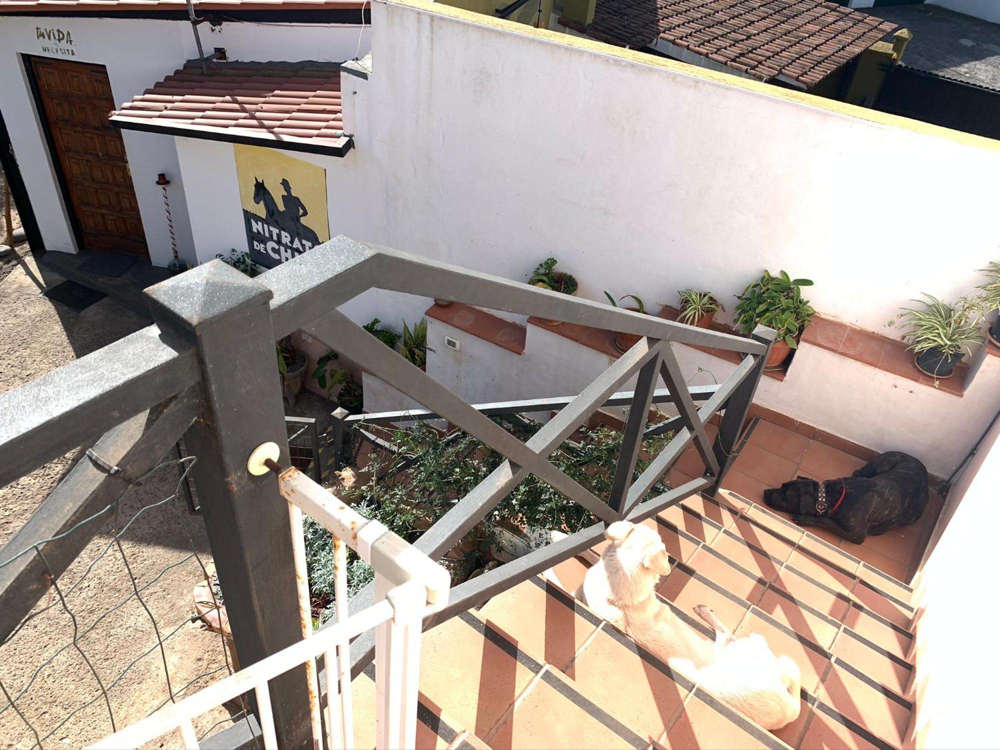 Vuelve Al Origen - Nomadas Digitales Tegueste Exterior photo